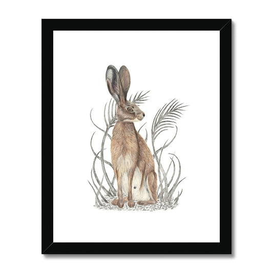 Hare Framed & Mounted Print