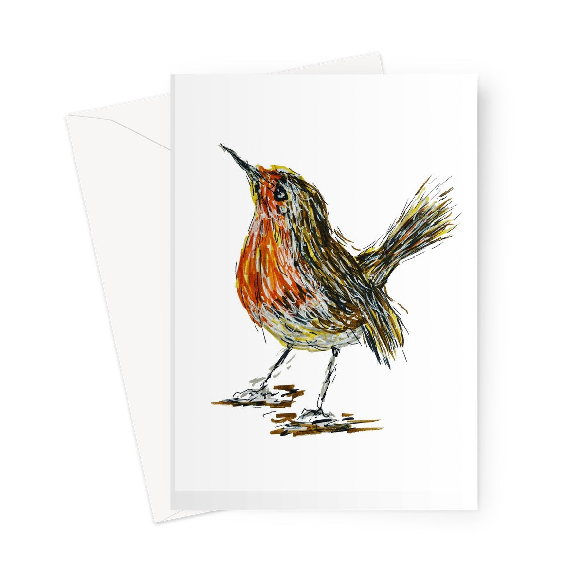 Robin    Greeting Card