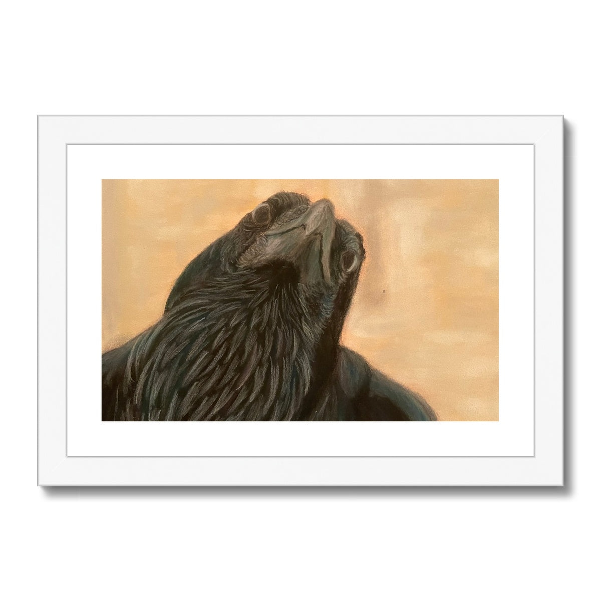 Raven Framed & Mounted Print