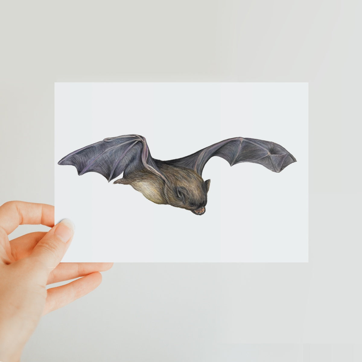 Bat Classic Postcard