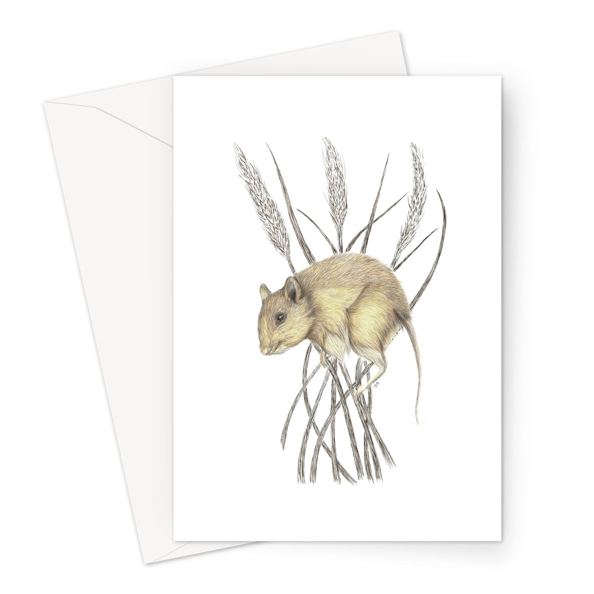 Field Mouse Greeting Card