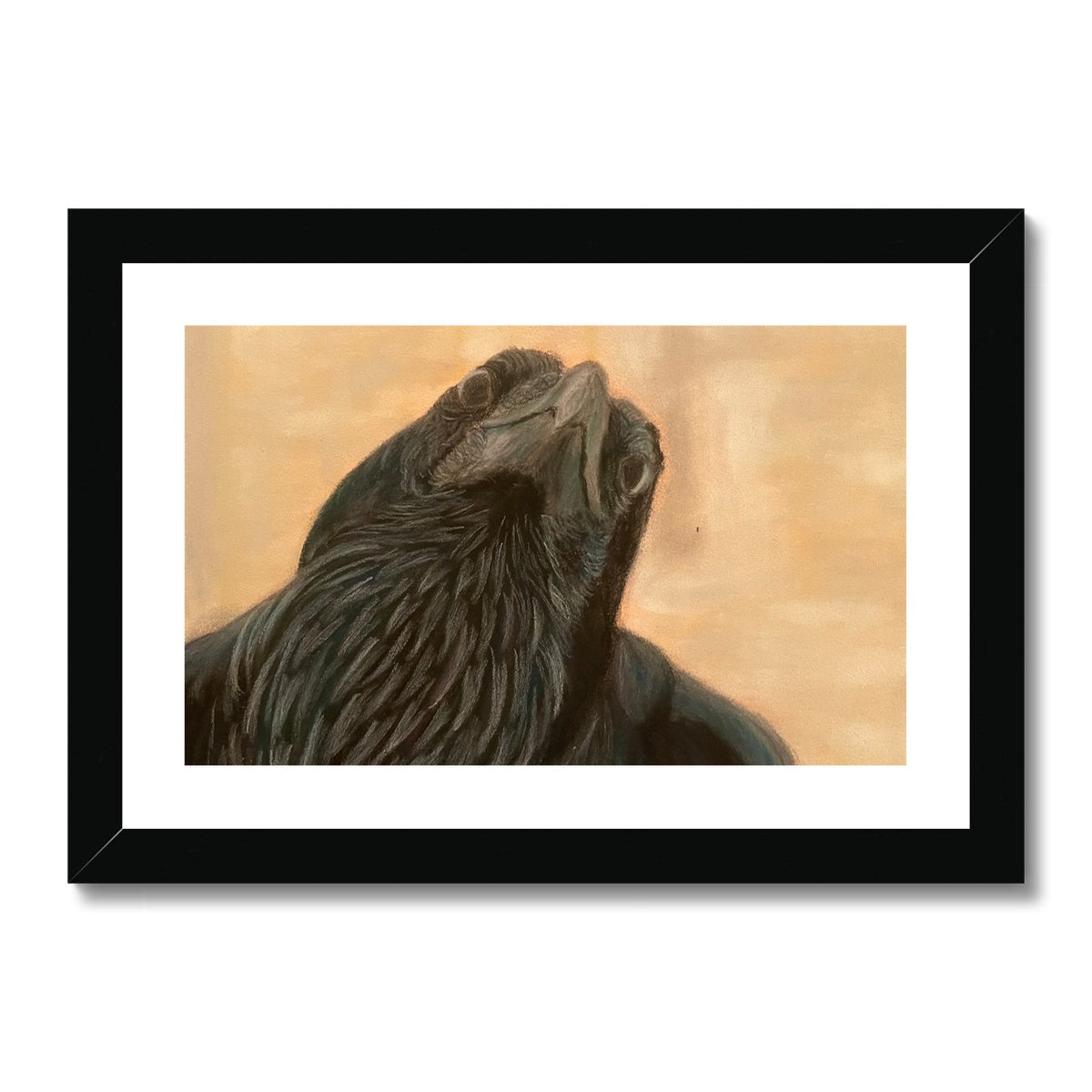 Raven Framed & Mounted Print