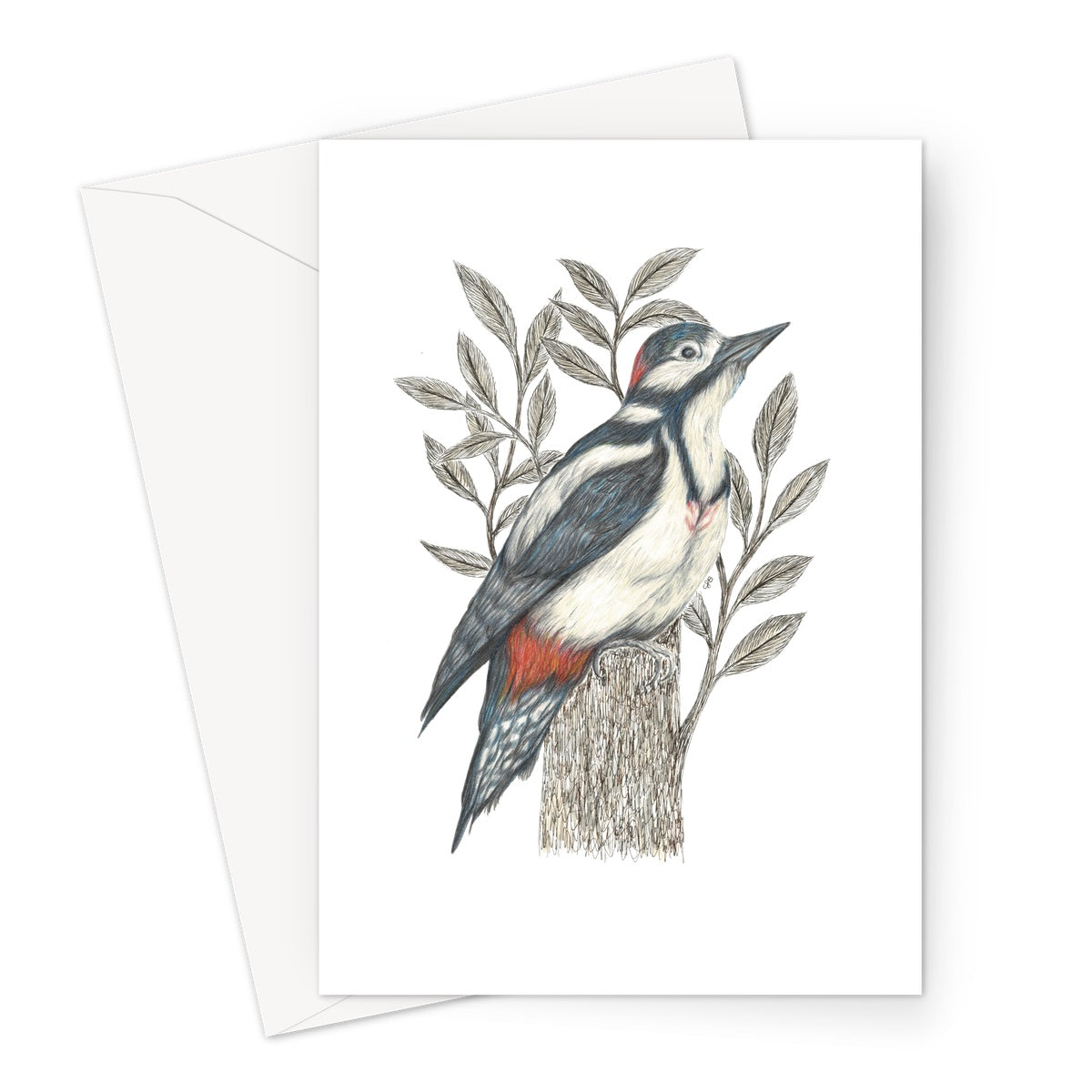 Woodpecker Greeting Card