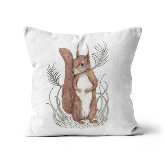 Squirrel Cushion