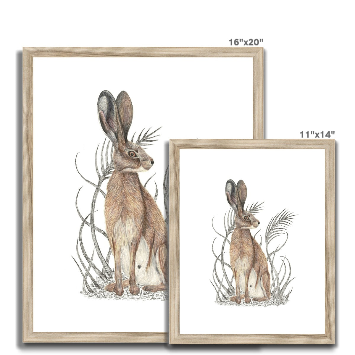 Hare Framed & Mounted Print