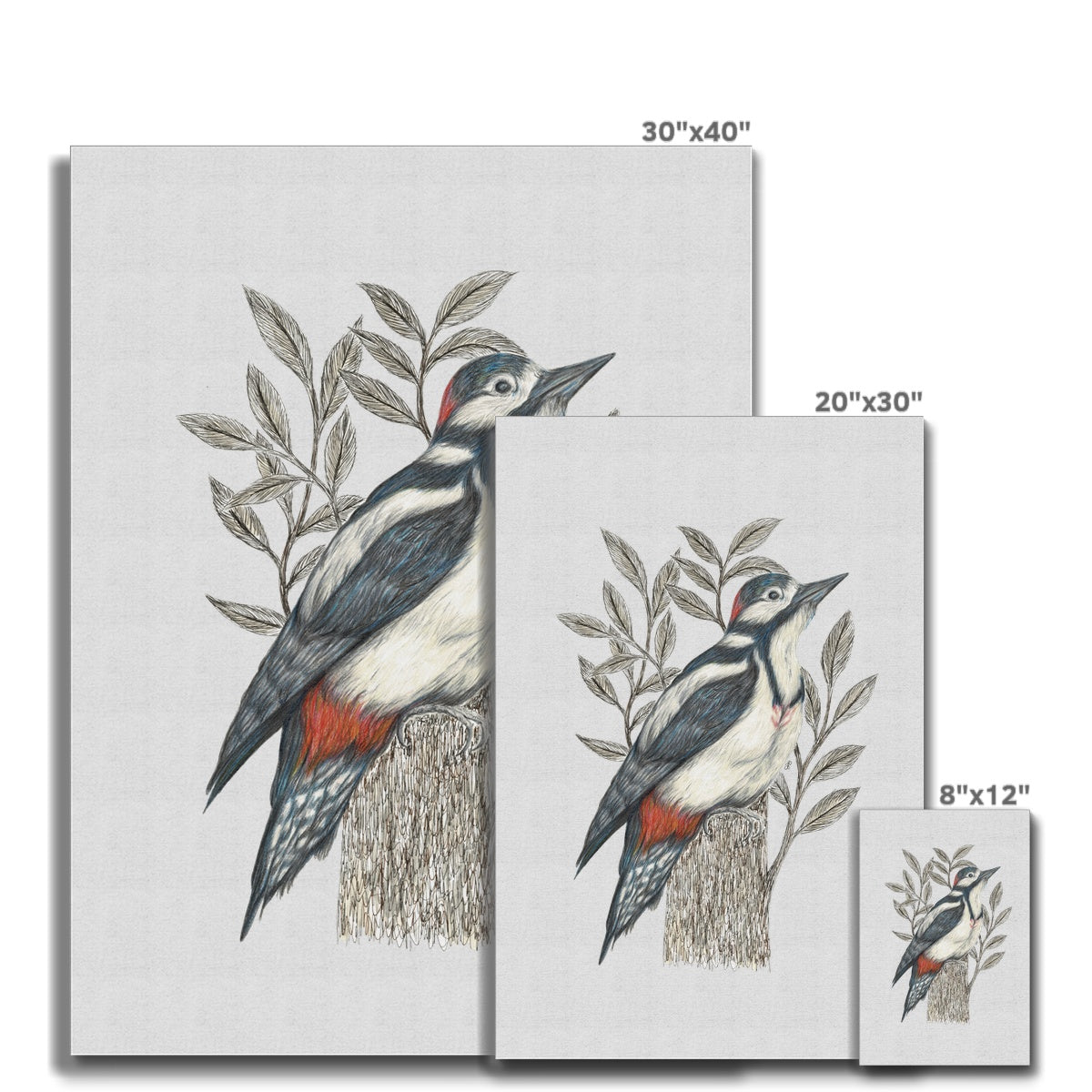 Woodpecker Canvas