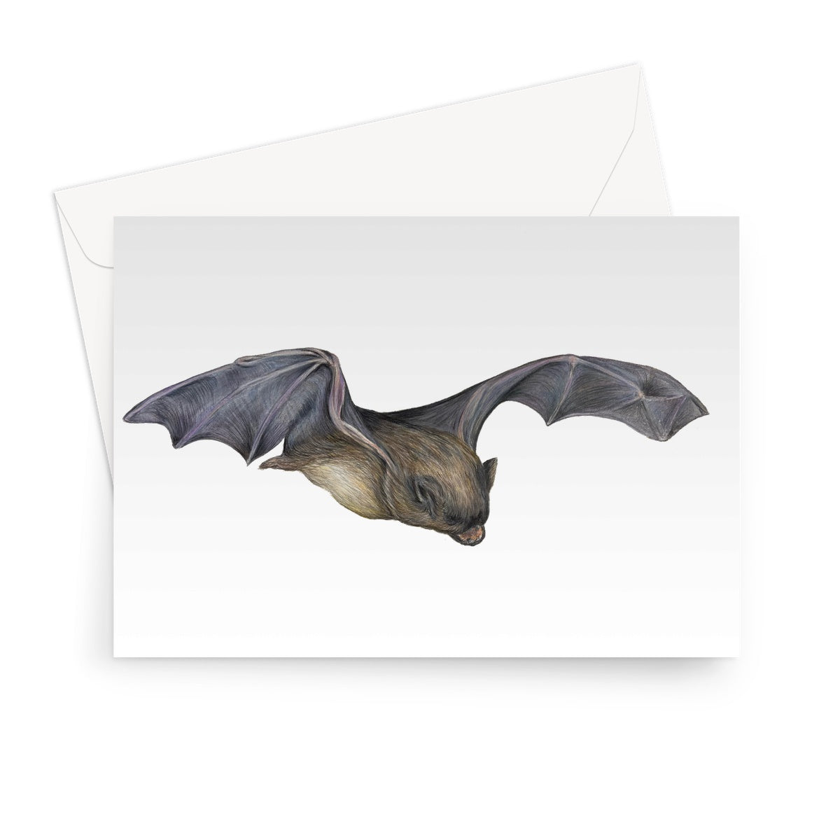 Bat Greeting Card