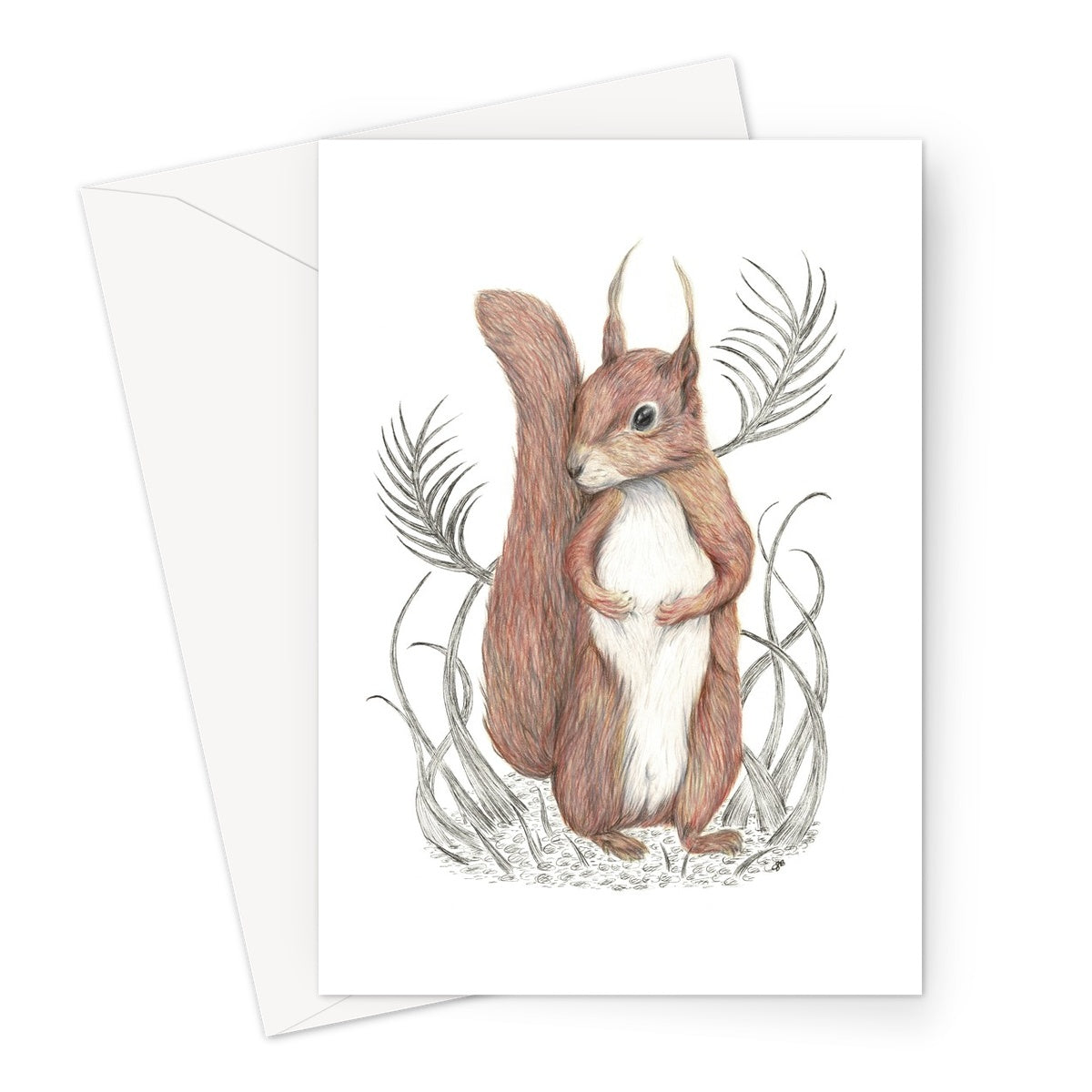 Squirrel Greeting Card