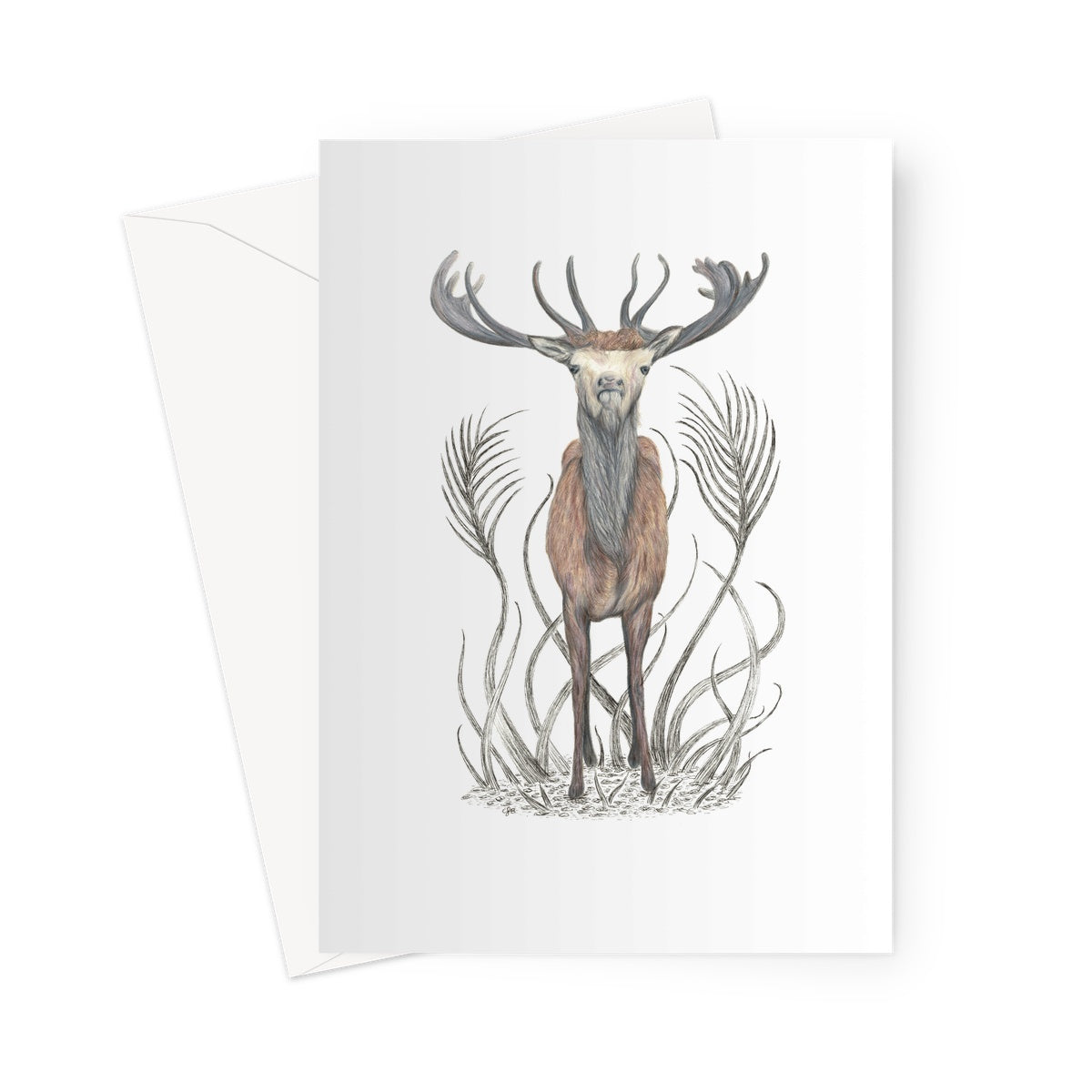 Stag Greeting Card