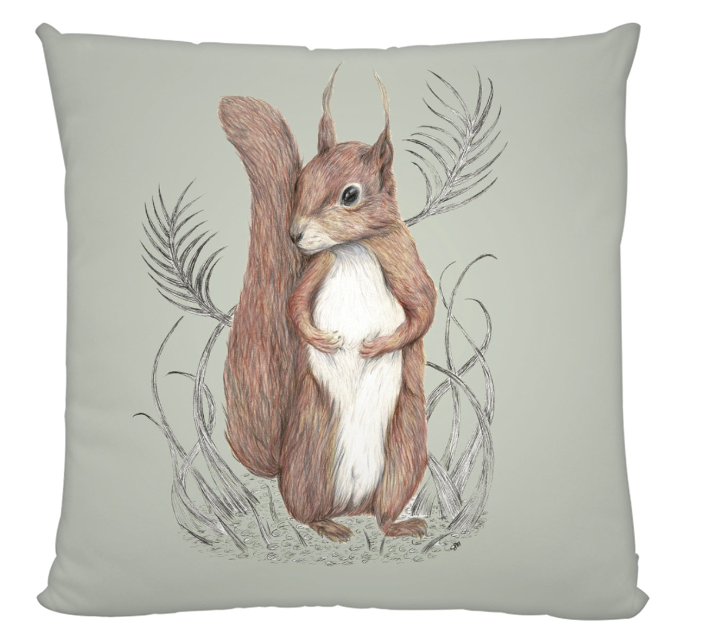 Squirrel Cushion