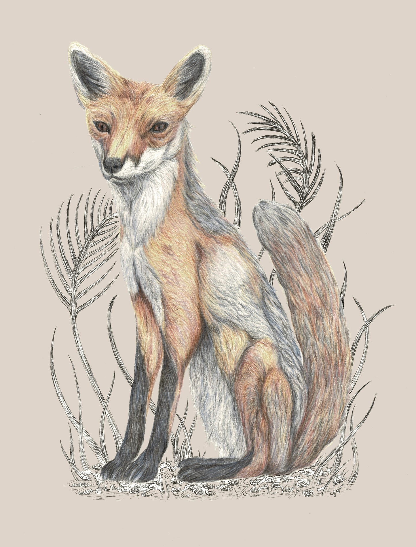 Fox Canvas Print 40cm x 30cm