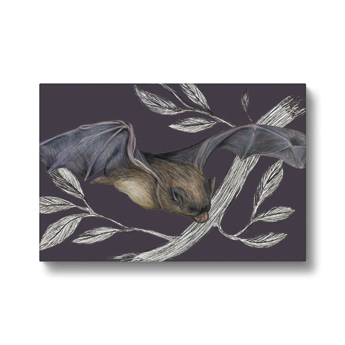 Bat Grape Canvas