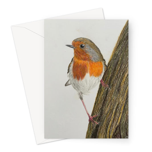 Robin Print Greeting Card