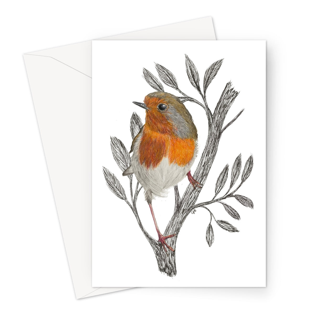 Robin Greeting Card