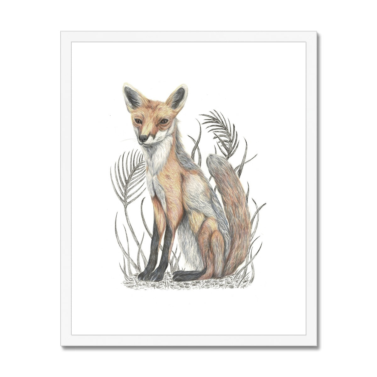 Fox Framed & Mounted Print