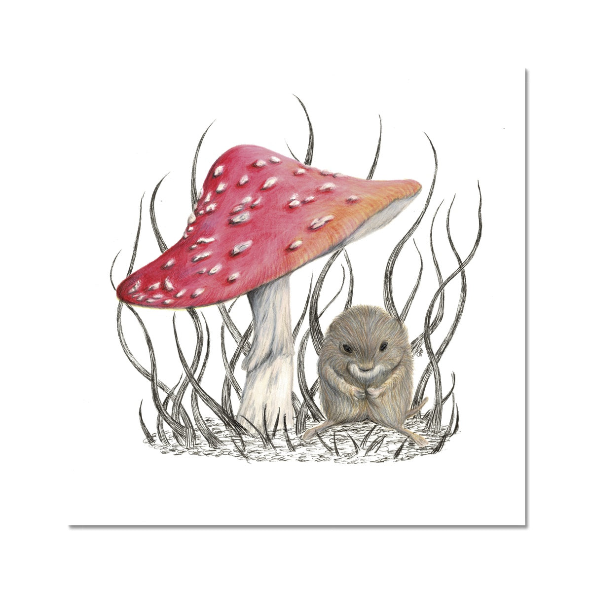 Vole Fine Art Print