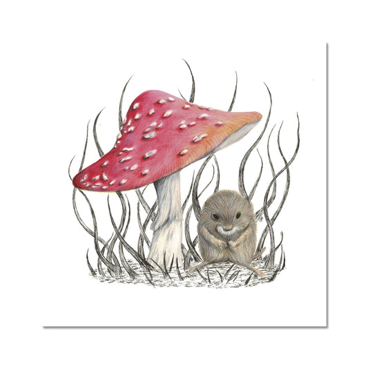 Vole Fine Art Print