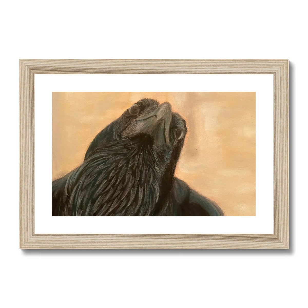 Raven Framed & Mounted Print