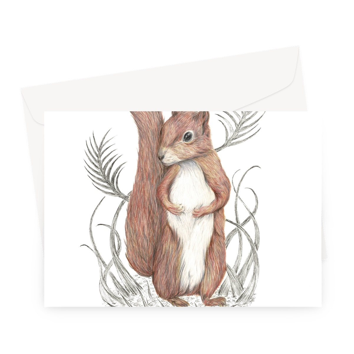 Squirrel Greeting Card