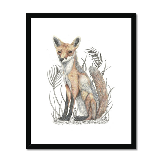 Fox Framed & Mounted Print