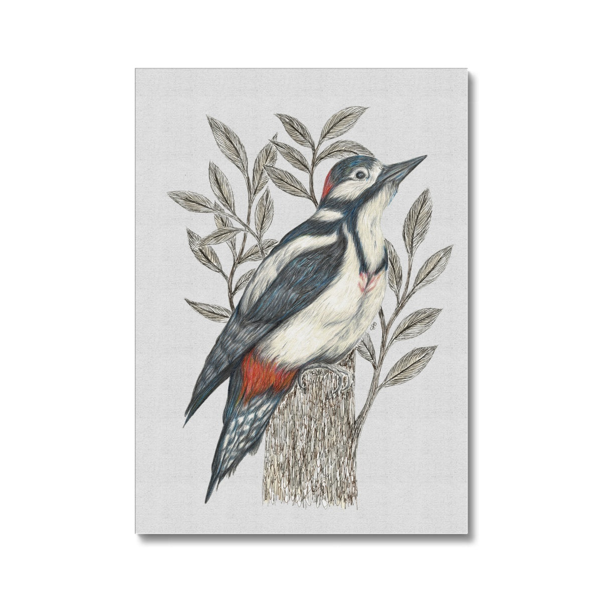 Woodpecker Canvas