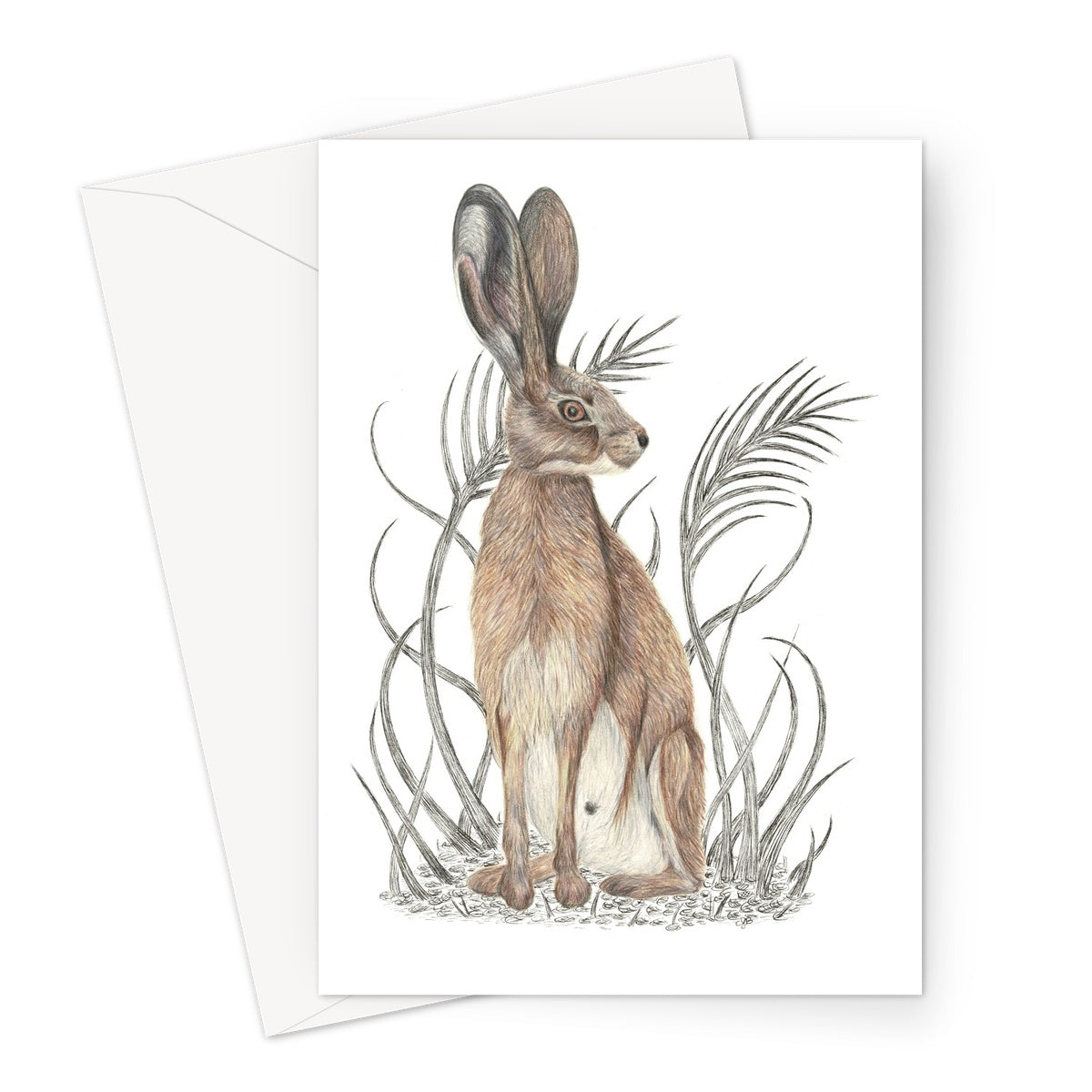 Hare Greeting Card