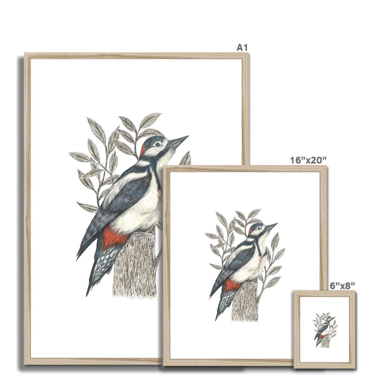 Woodpecker Framed & Mounted Print