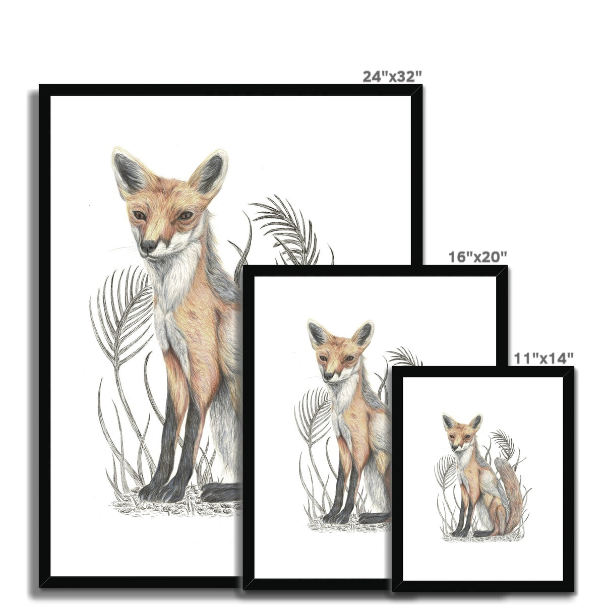 Fox Framed & Mounted Print