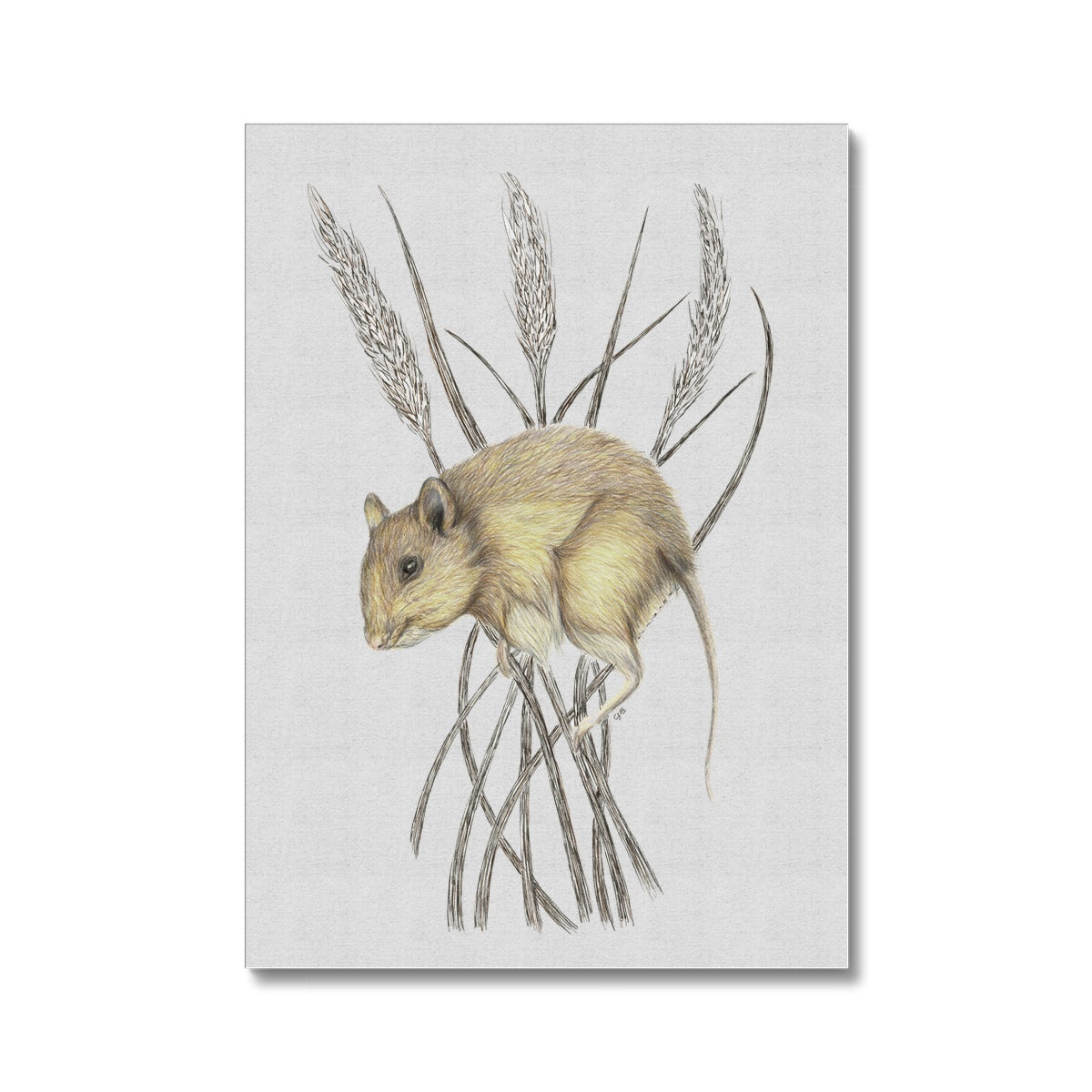 Field Mouse Canvas