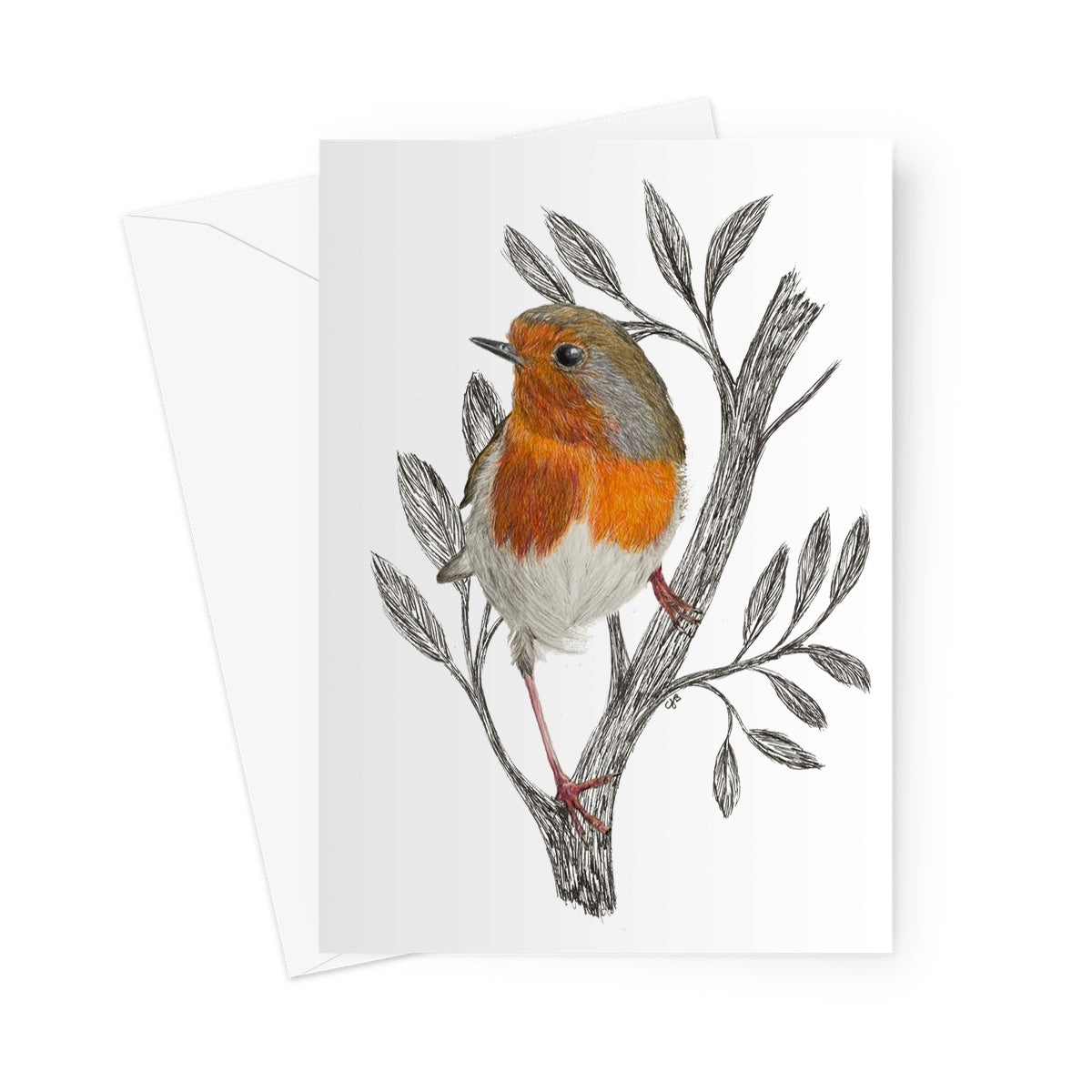 Robin Greeting Card