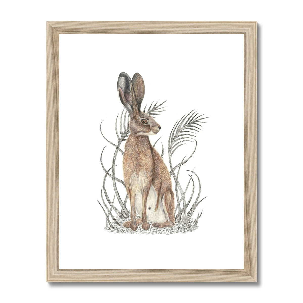 Hare Framed & Mounted Print