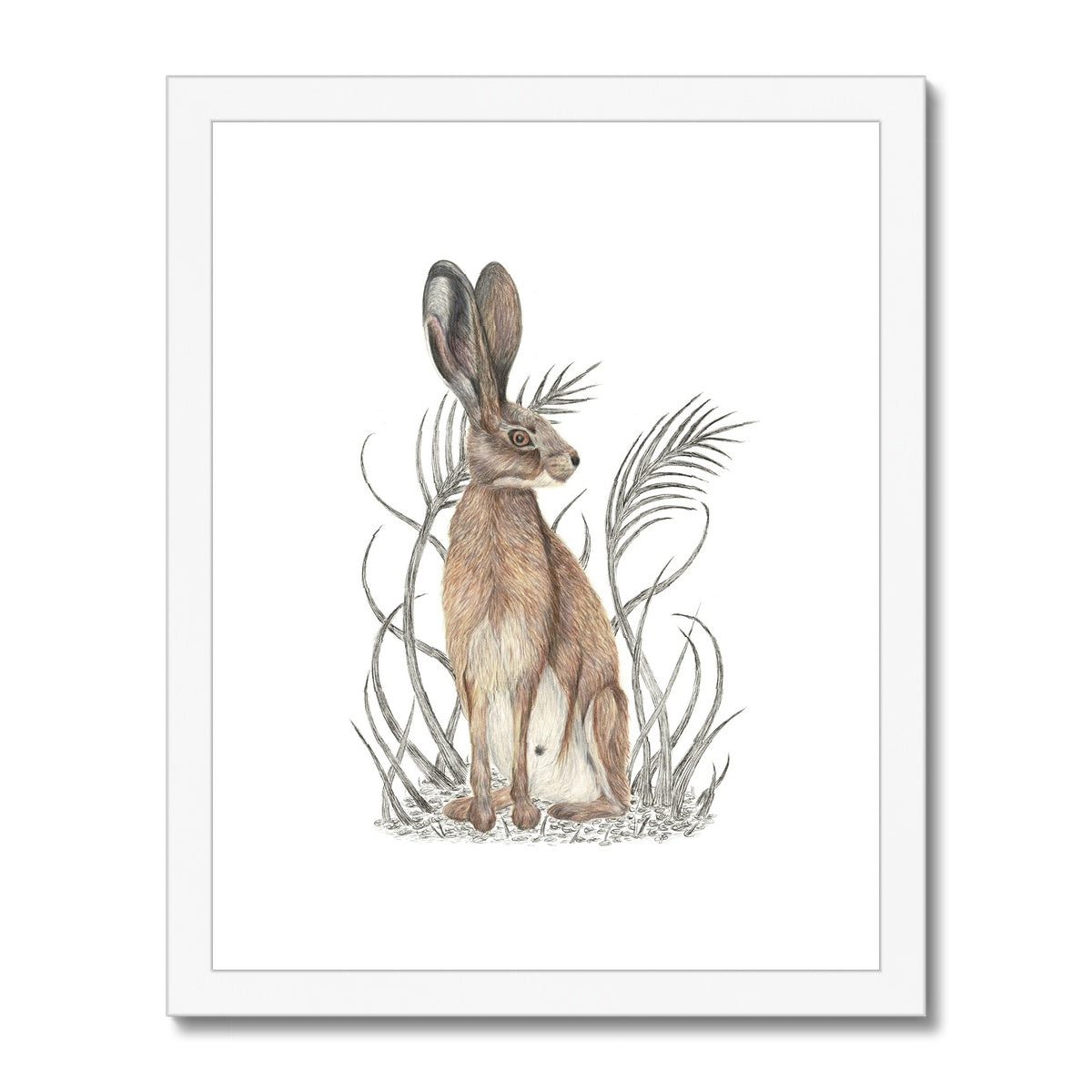 Hare Framed & Mounted Print