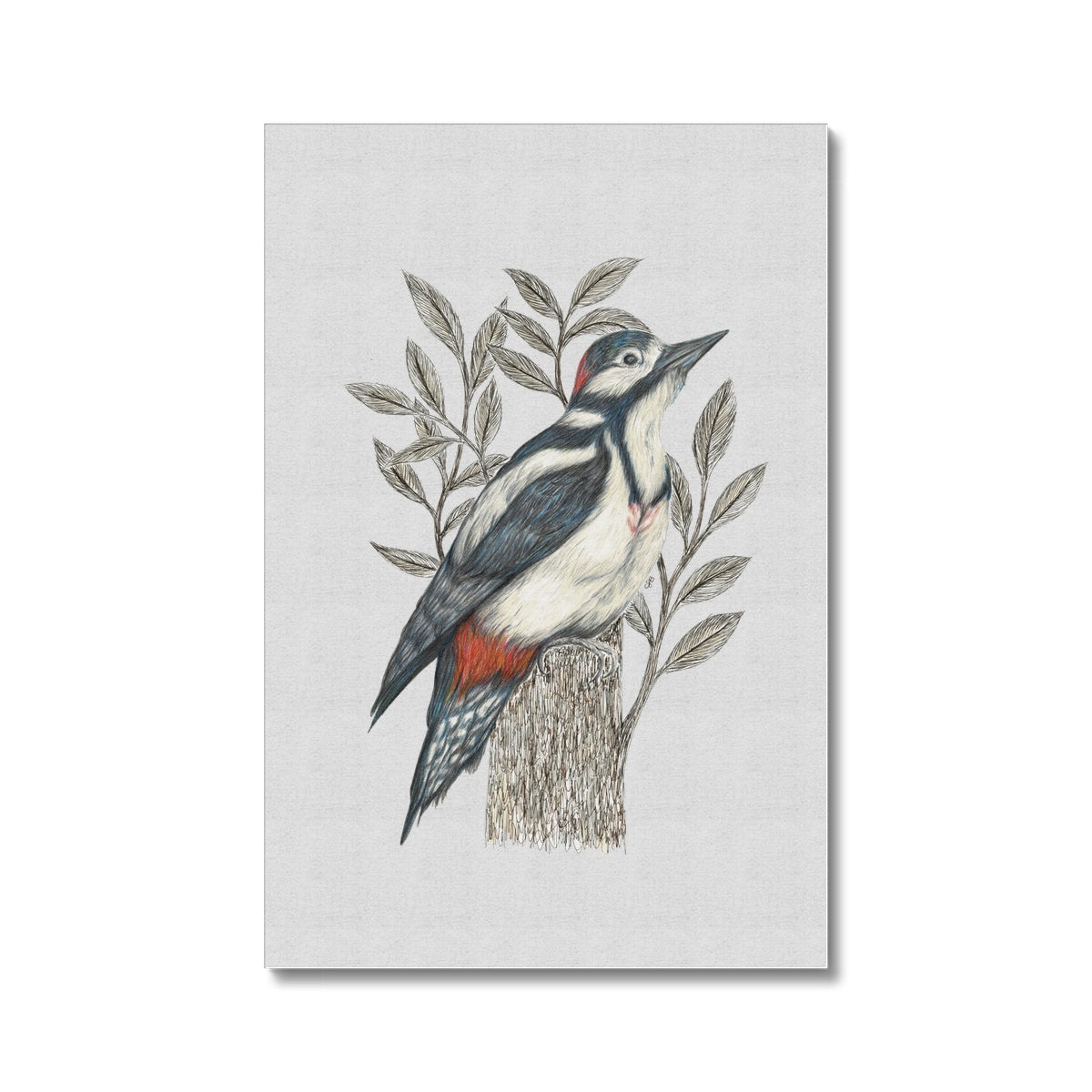 Woodpecker Canvas