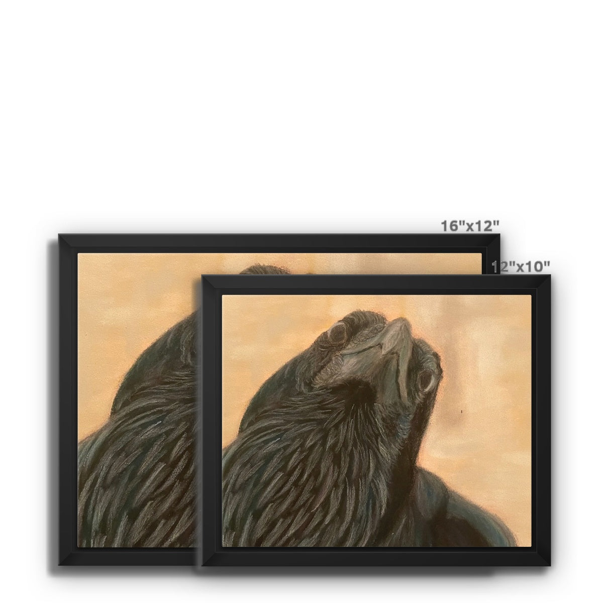 Raven Framed Canvas