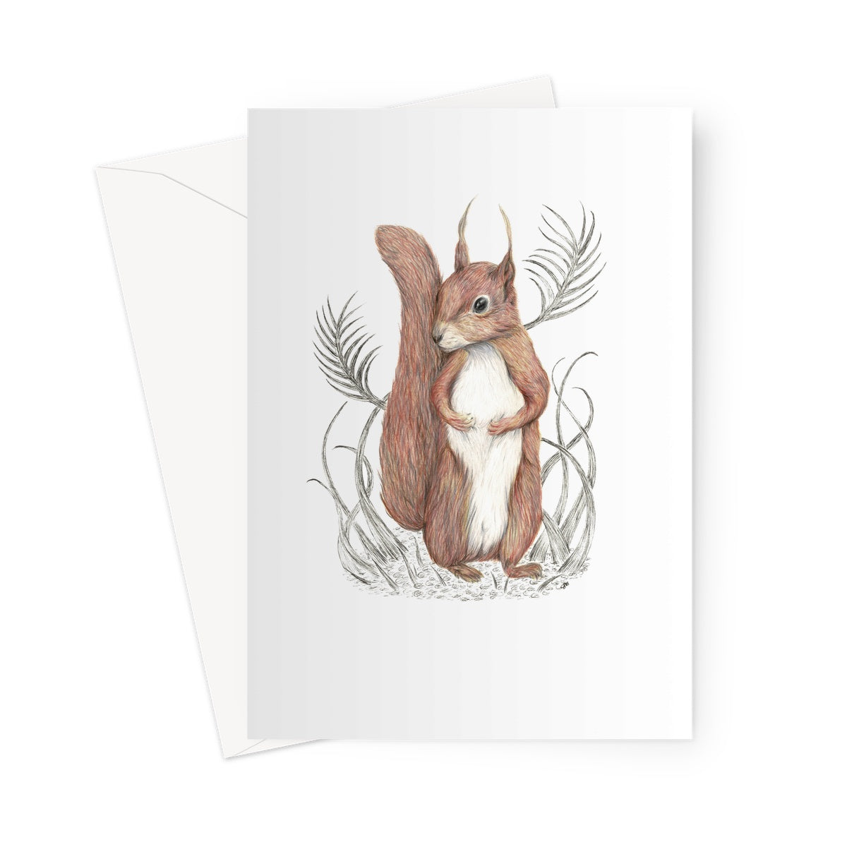 Squirrel Greeting Card