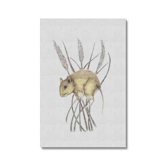 Field Mouse Canvas