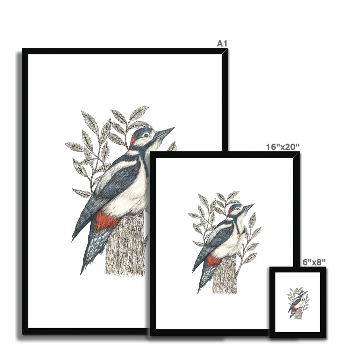 Woodpecker Framed & Mounted Print