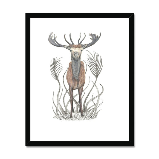 Stag Framed & Mounted Print