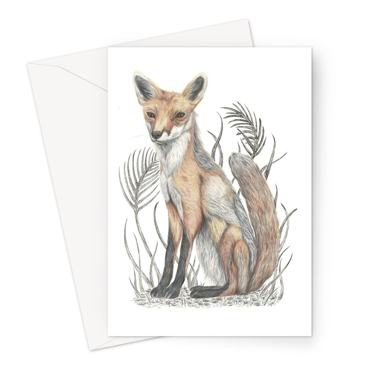 Fox Greeting Card