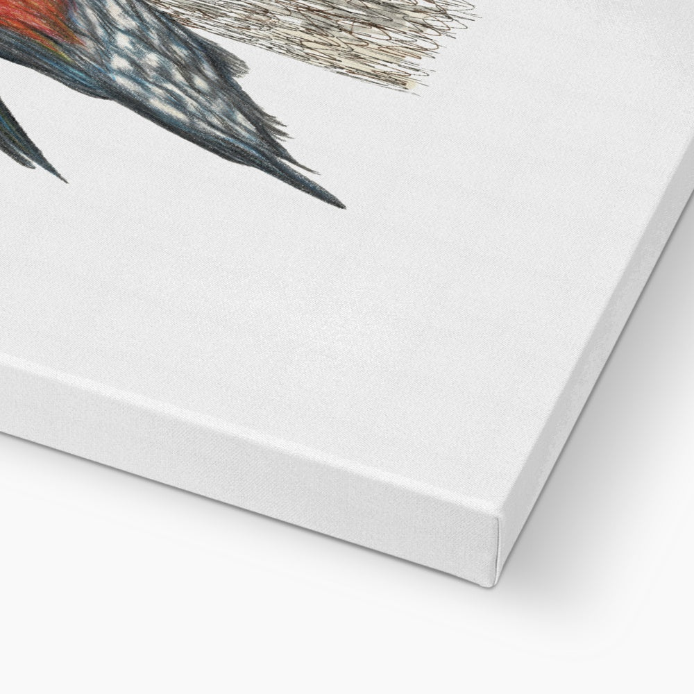 Woodpecker Canvas