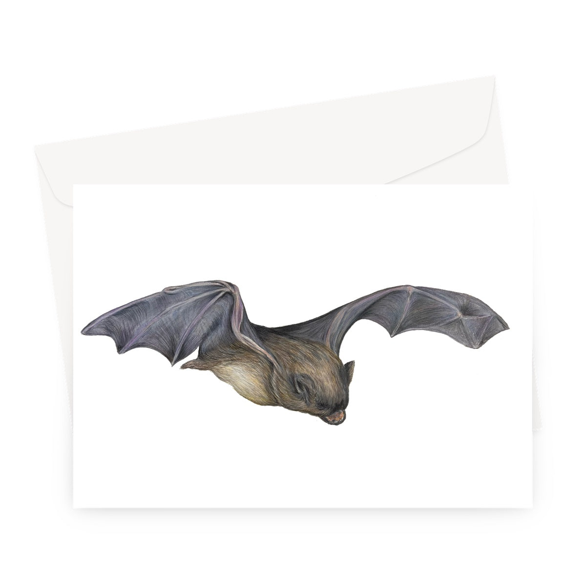 Bat Greeting Card