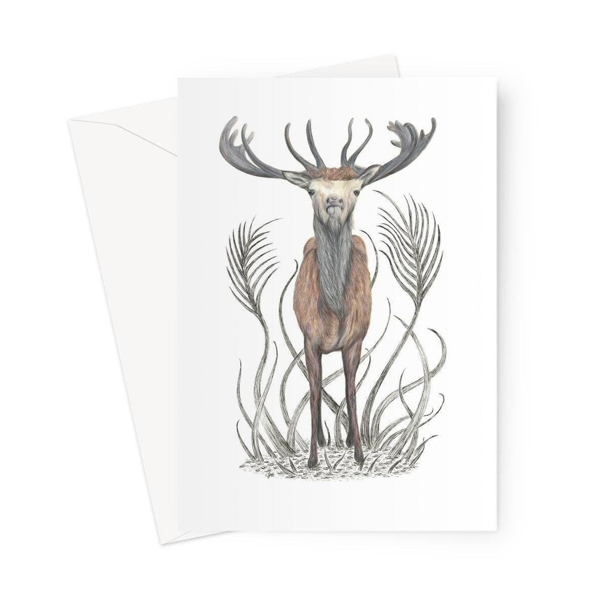 Stag Greeting Card