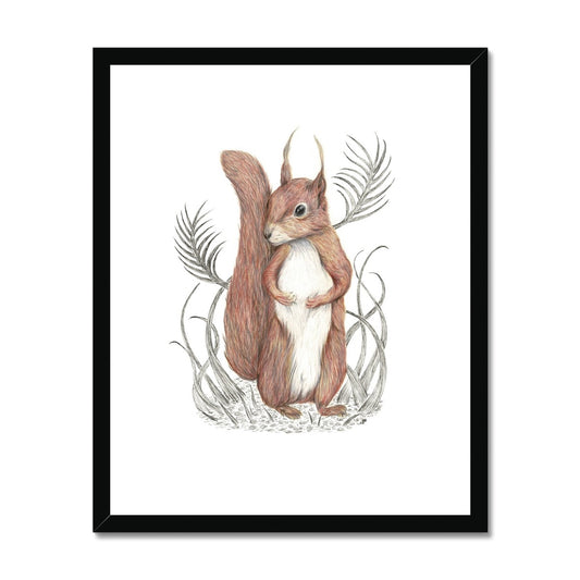 Squirrel Framed & Mounted Print