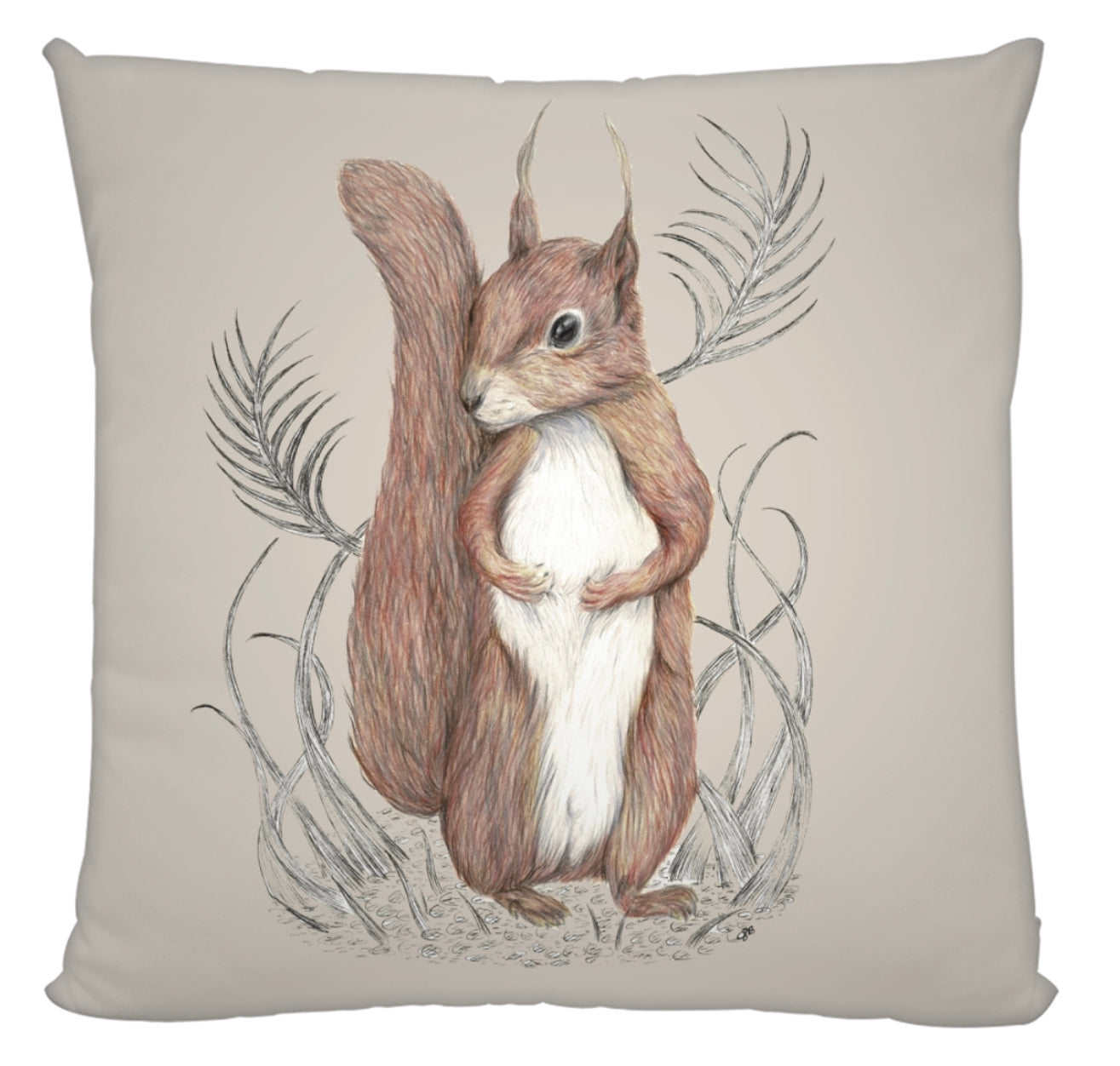 Squirrel Cushion