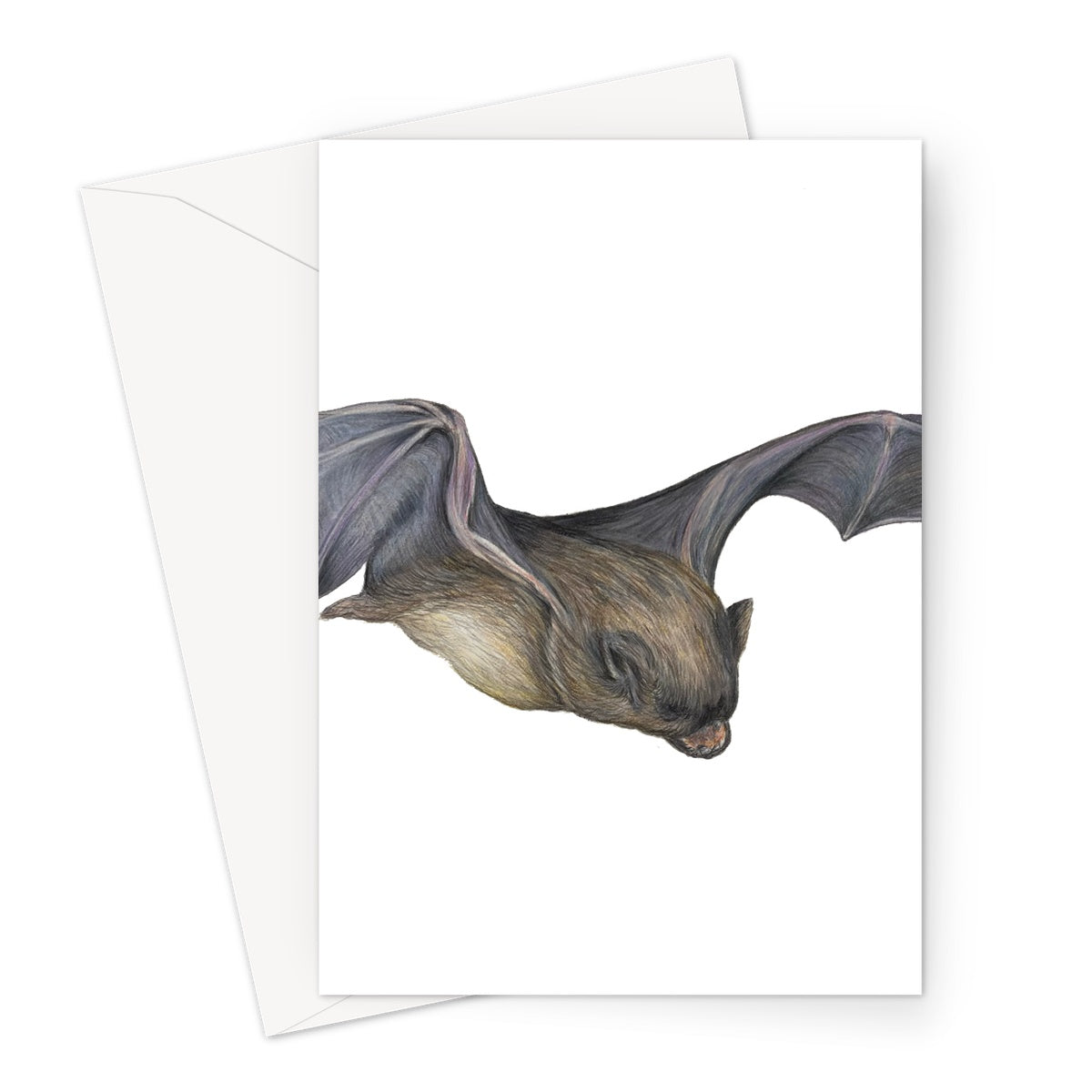 Bat Greeting Card