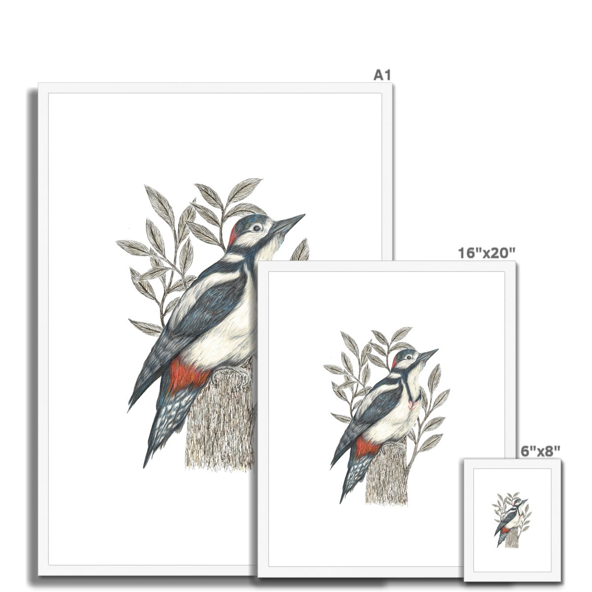 Woodpecker Framed & Mounted Print