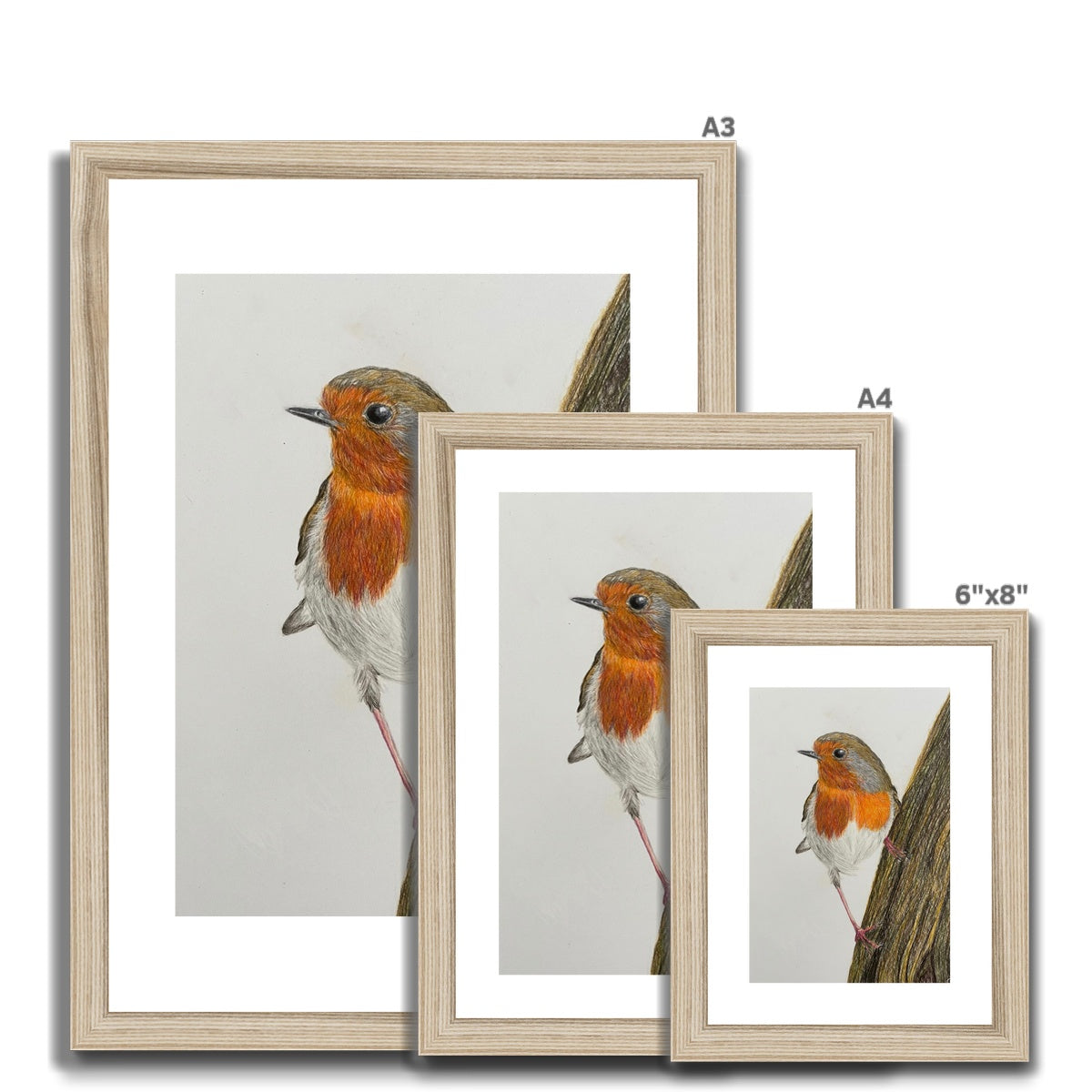 Robin Print Framed & Mounted Print