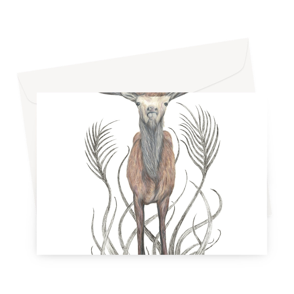 Stag Greeting Card