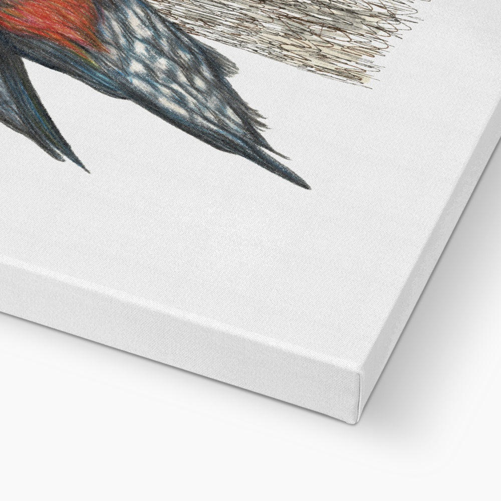 Woodpecker Canvas