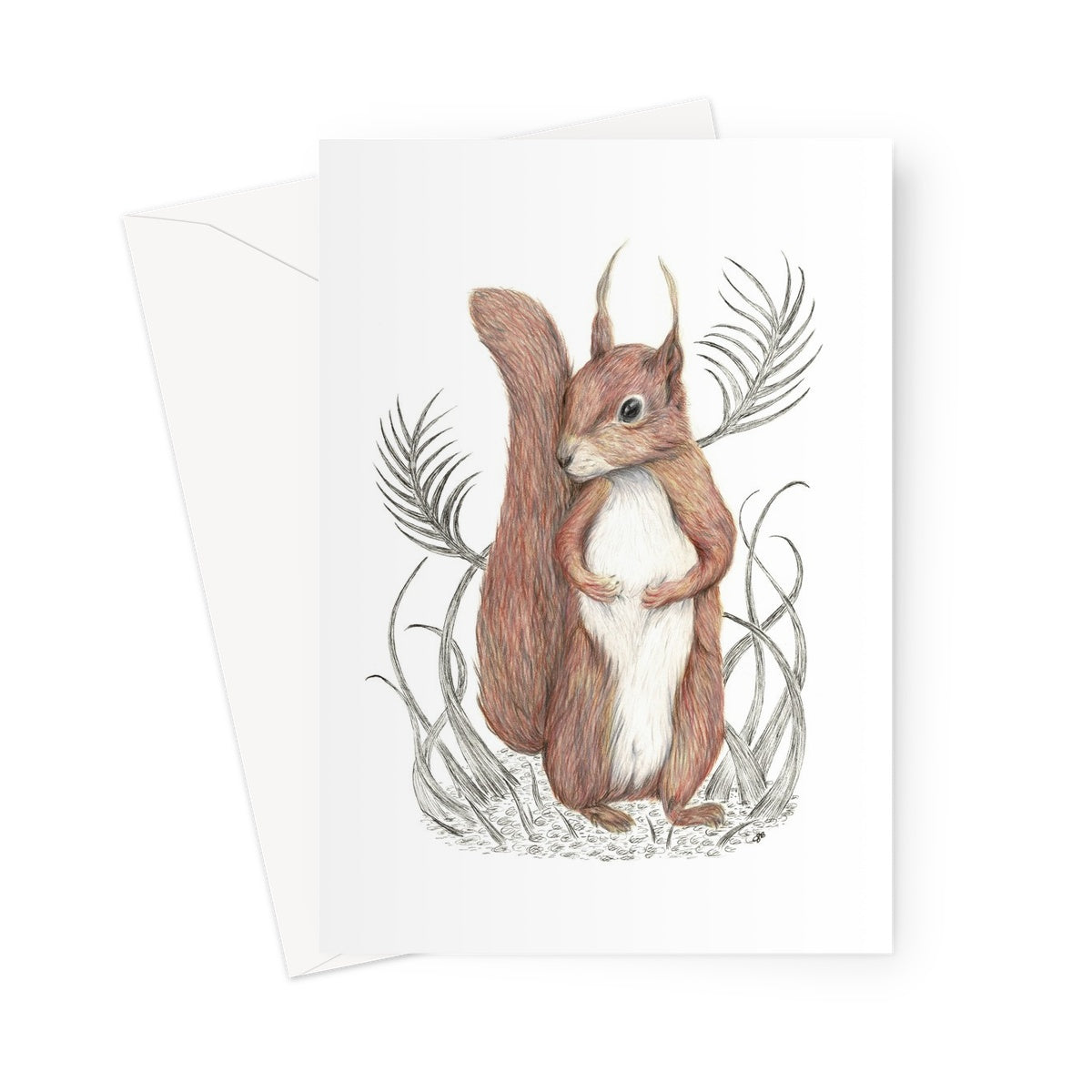 Squirrel Greeting Card